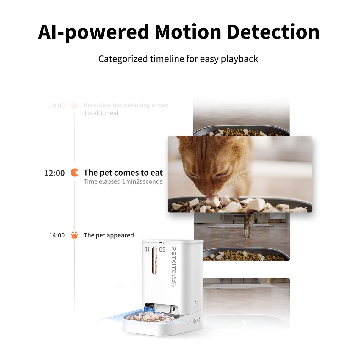 Petkit YumShare Dual-hopper Automatic Feeder with Camera - Maokids Pet