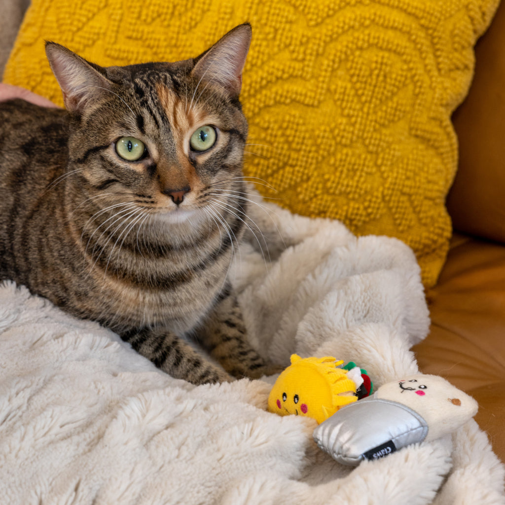 ZippyClaws NomNomz Cat Toy - Taco and Burrito