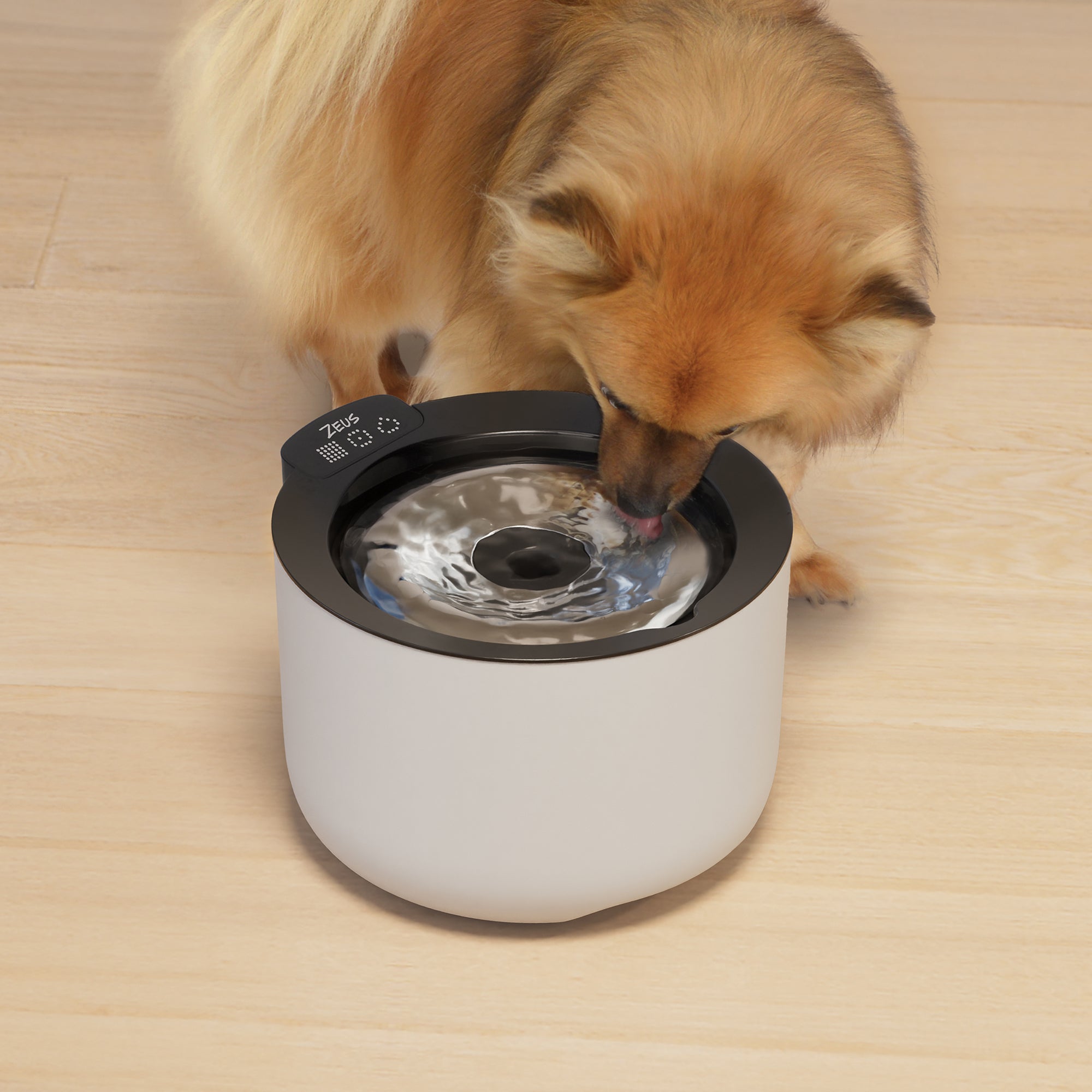 Zeus Oasis Plus Smart Fountain - 3 L