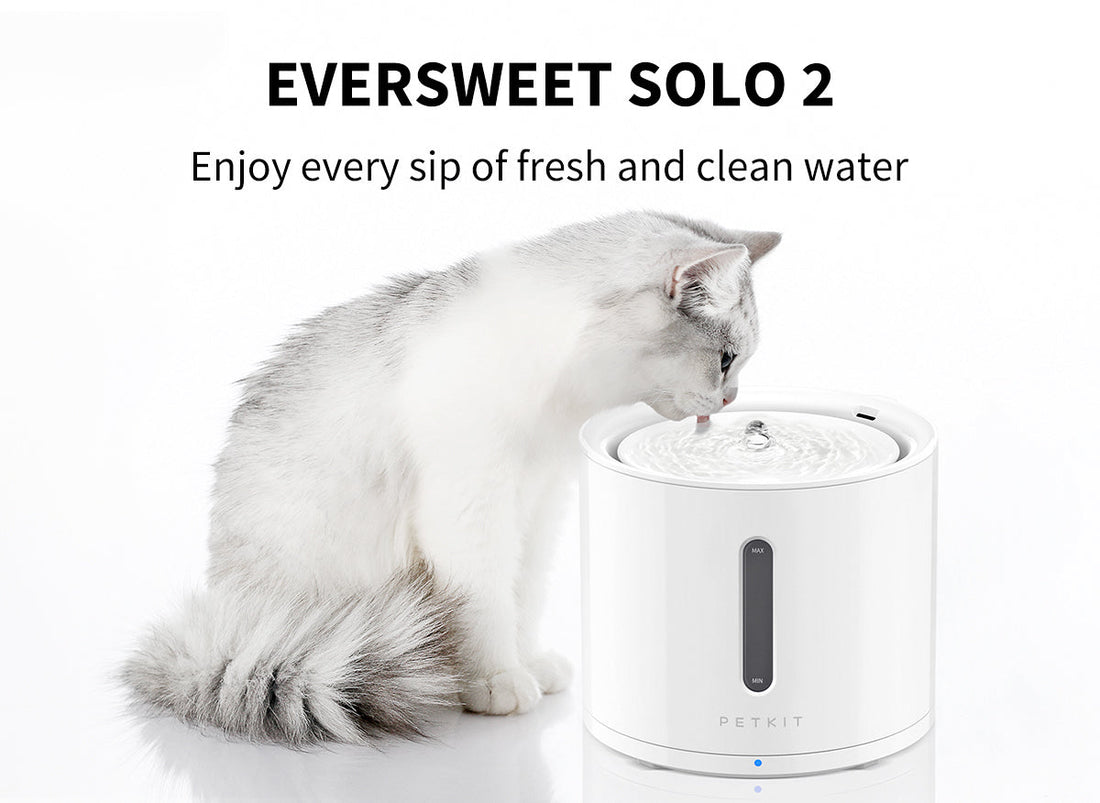 Petkit Eversweet Solo 2 (Wireless Pump) - White