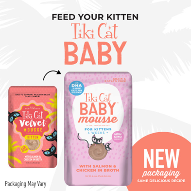 Tiki Cat Baby Mousse Wet Cat Food - Chicken & Salmon