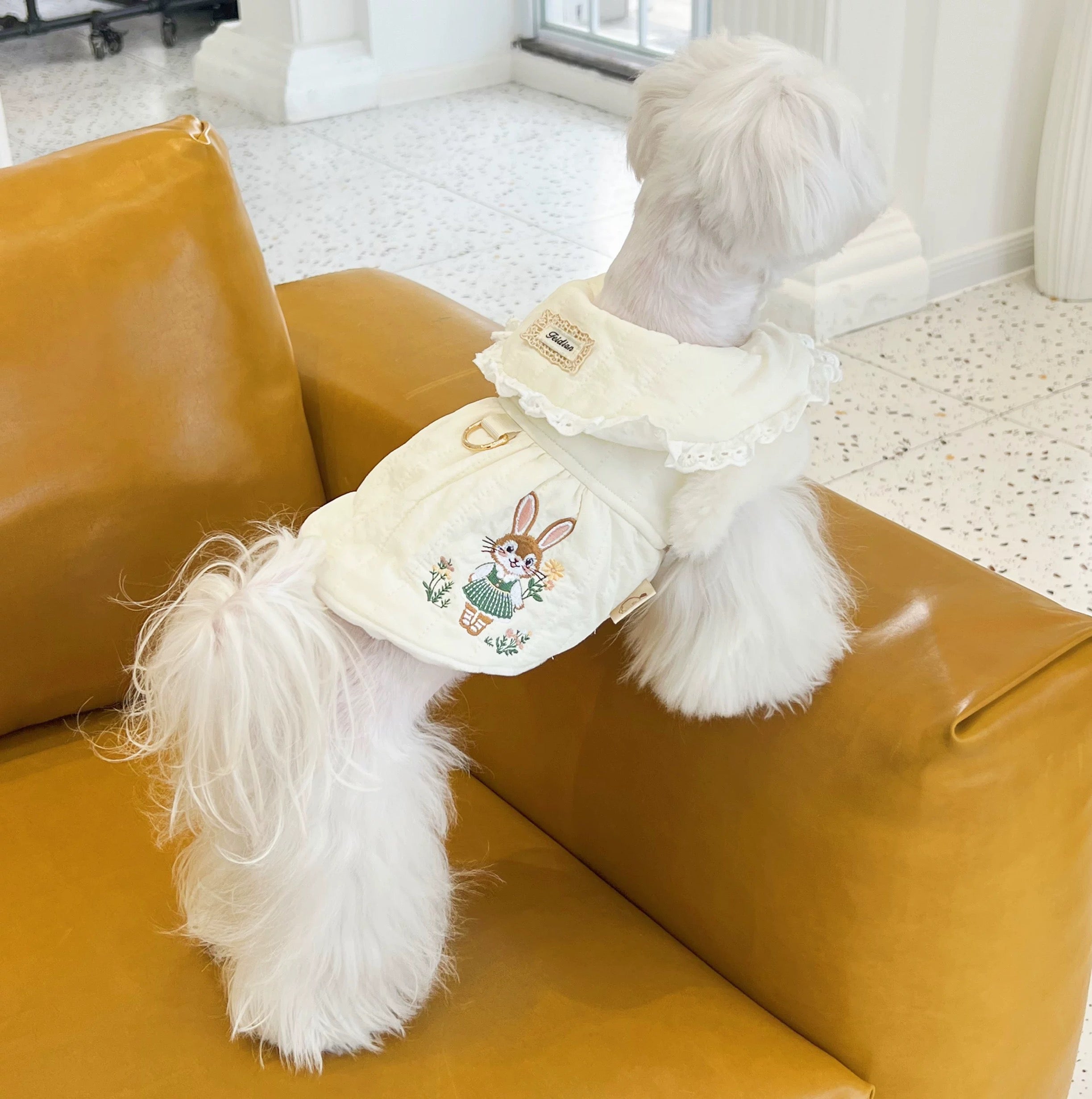 Rabbit Embroidery & Doll Collar Cotton Coat For Dog & Cat - Maokids Pet