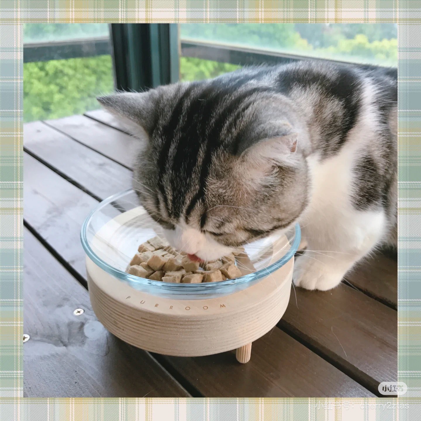 Purroom Glass Bowl With Wood Stand For Pet - Maokids Pet