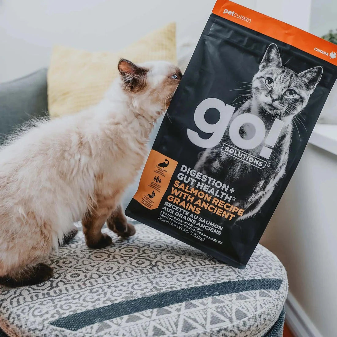 Go! Digestion + Gut Health Salmon Recipe with Ancient Grains for cats - Maokids Pet