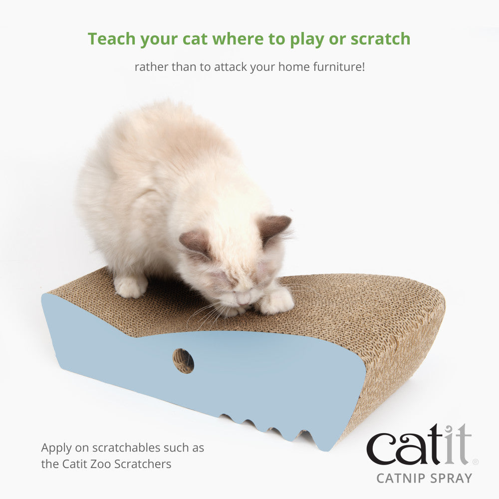 Catit Catnip Spray - Maokids Pet