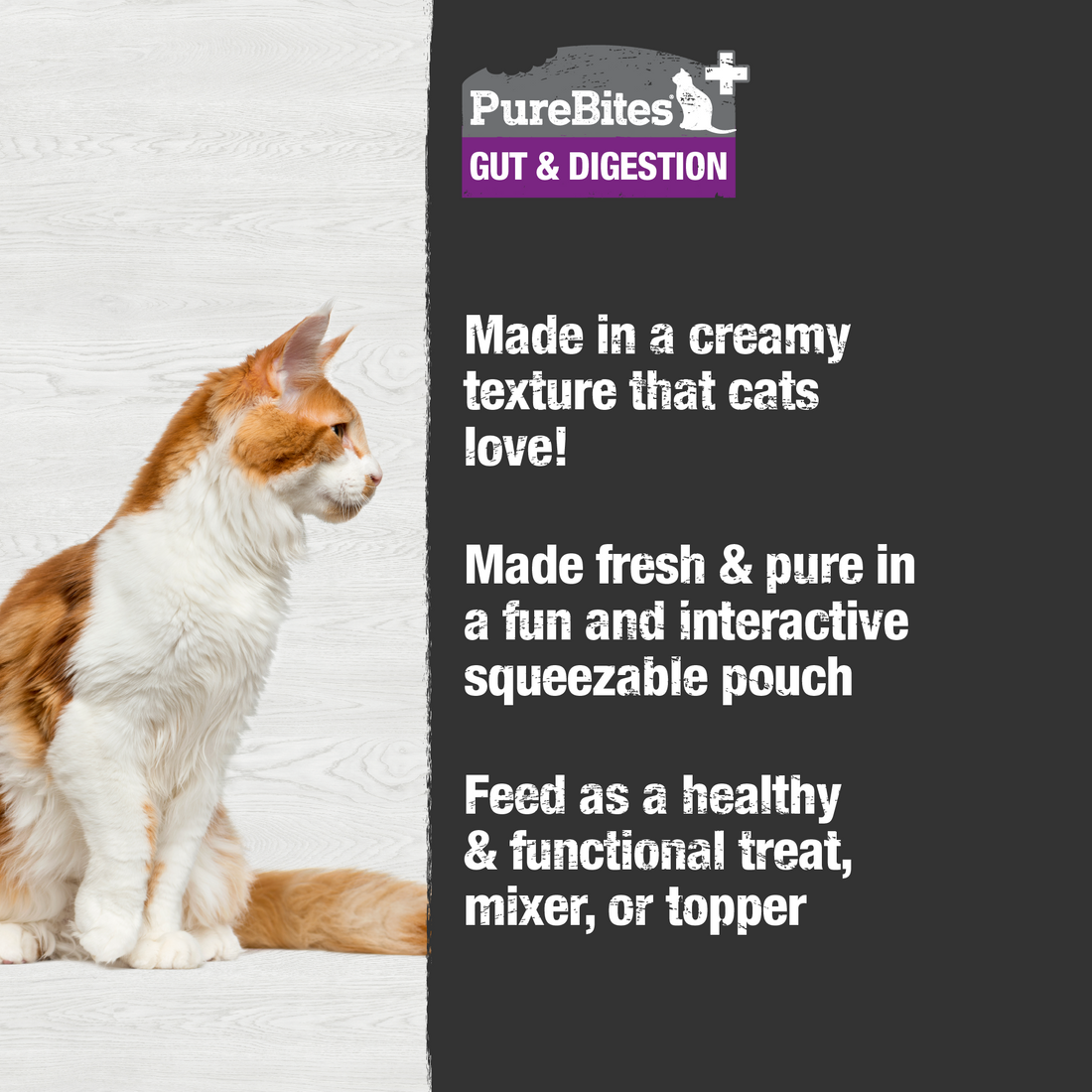 Purebites Digestion Squeezable Cat Treat - 71g - Maokids Pet
