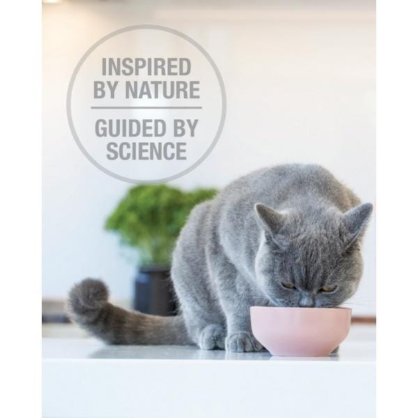 Feline Natural Raw Freeze-Dried Beef Feast - Maokids Pet