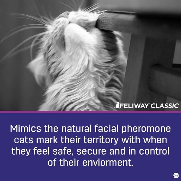 Feliway Classic Spray - 20ml - Maokids Pet