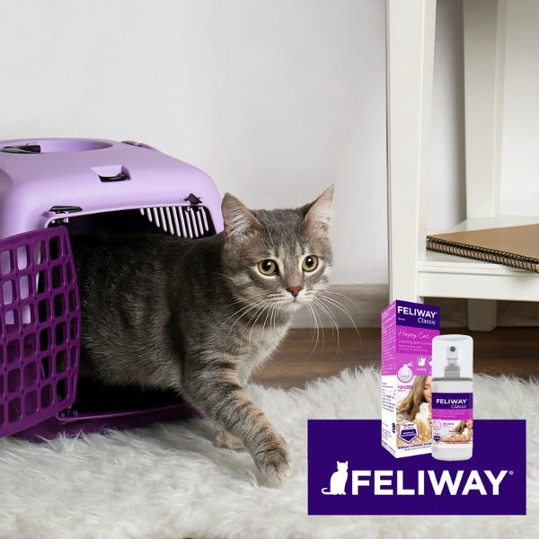 Feliway Classic Spray - 20ml - Maokids Pet