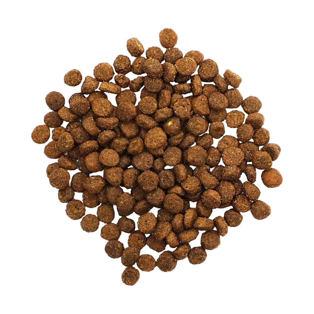 Go! Digestion + Gut Health Salmon Recipe with Ancient Grains for cats - Maokids Pet