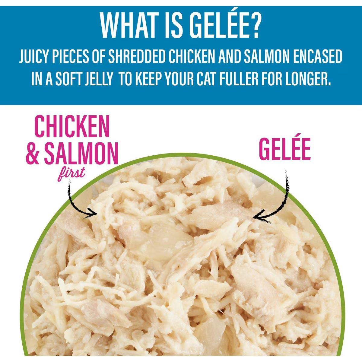 Tiki Cat Pouch Luau Lean Gelee Cat Wet Food - Chicken & Salmon - 79g - Maokids Pet