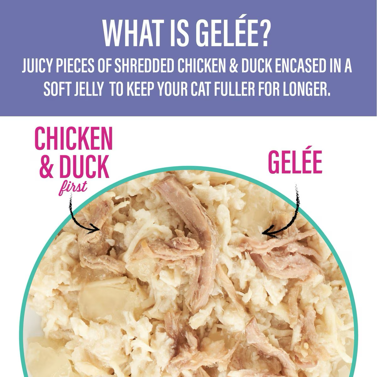 Tiki Cat Pouch Luau Lean Gelee - Chicken & Duck - 79g - Maokids Pet