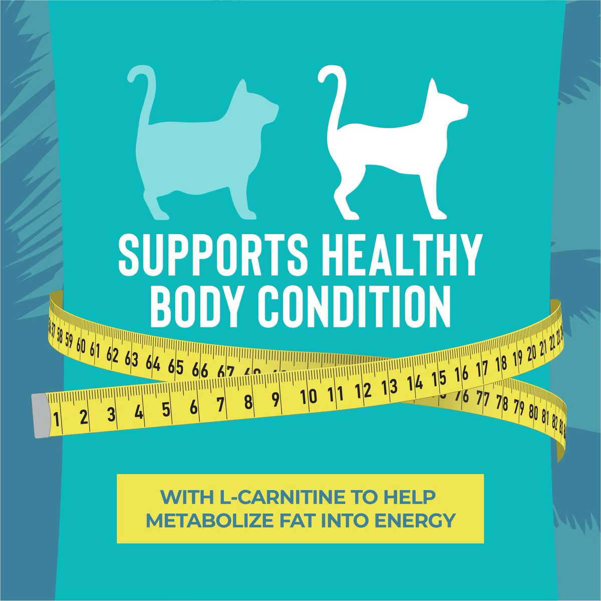 Tiki Cat Pouch Luau Lean Gelee - Chicken - 79g - Maokids Pet