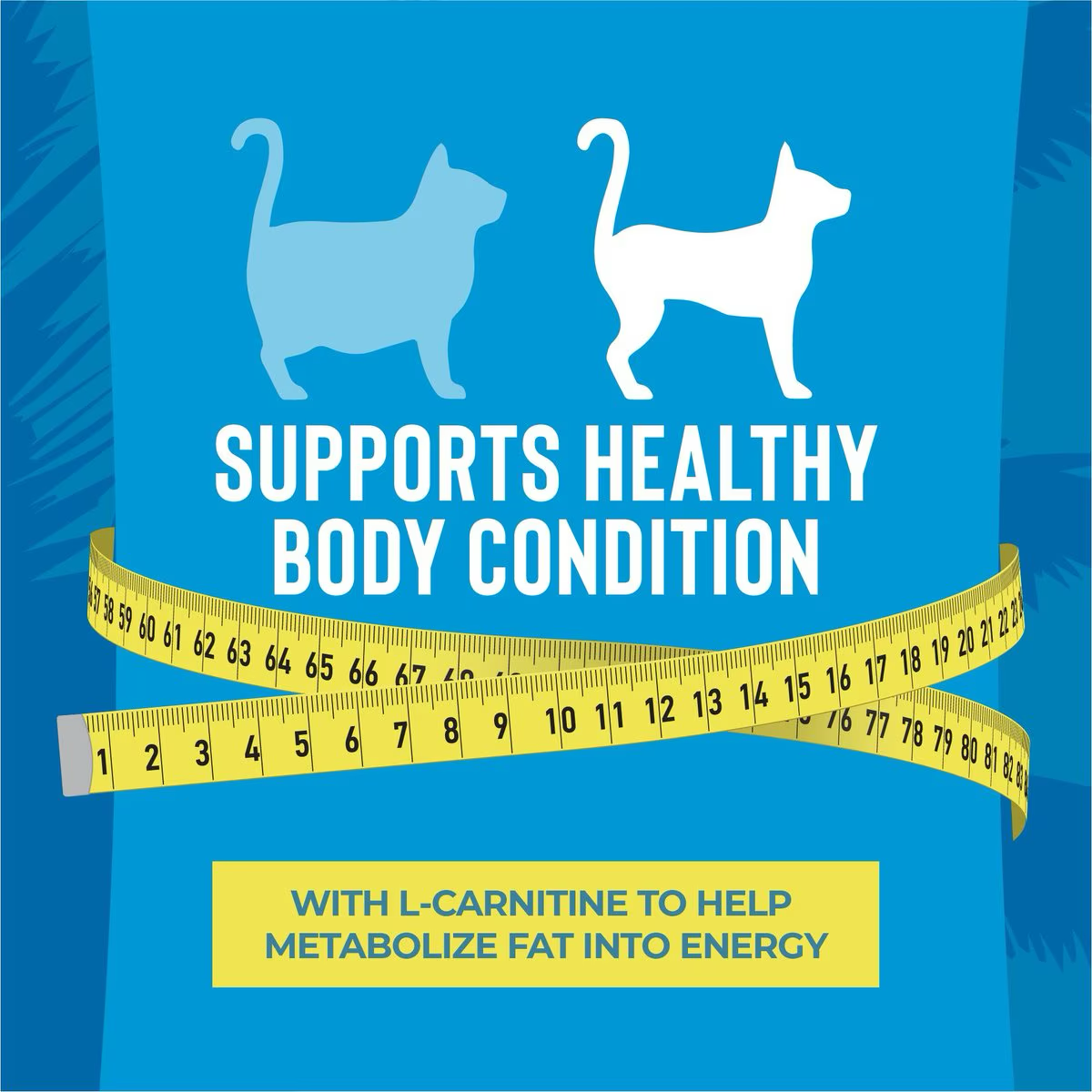 Tiki Cat Pouch Luau Lean Gelee Cat Wet Food - Chicken & Salmon - 79g - Maokids Pet