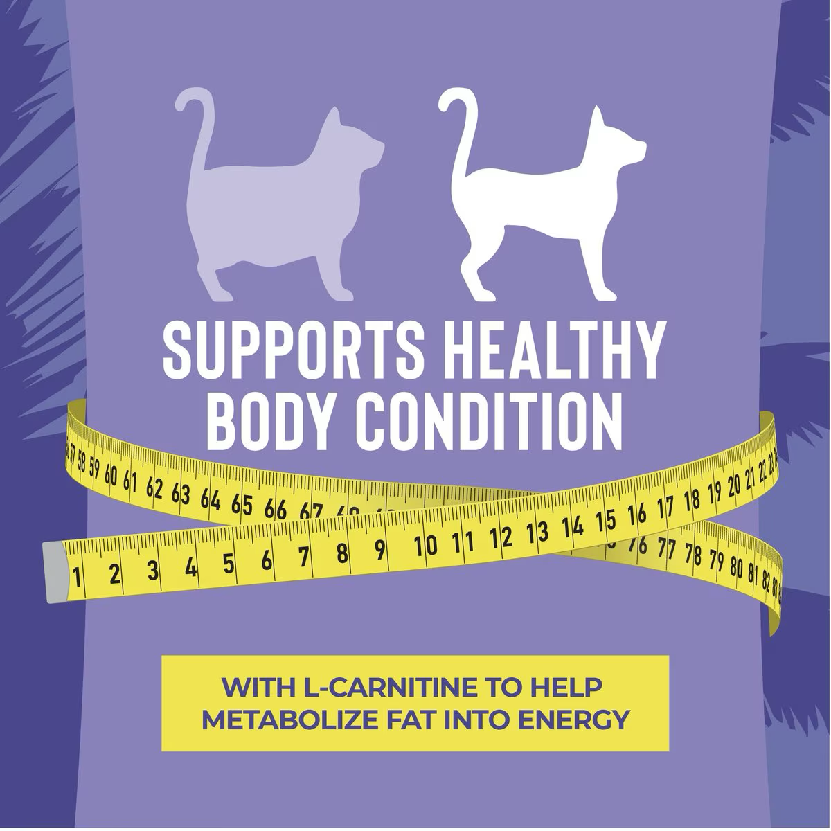 Tiki Cat Pouch Luau Lean Gelee - Chicken & Duck - 79g - Maokids Pet