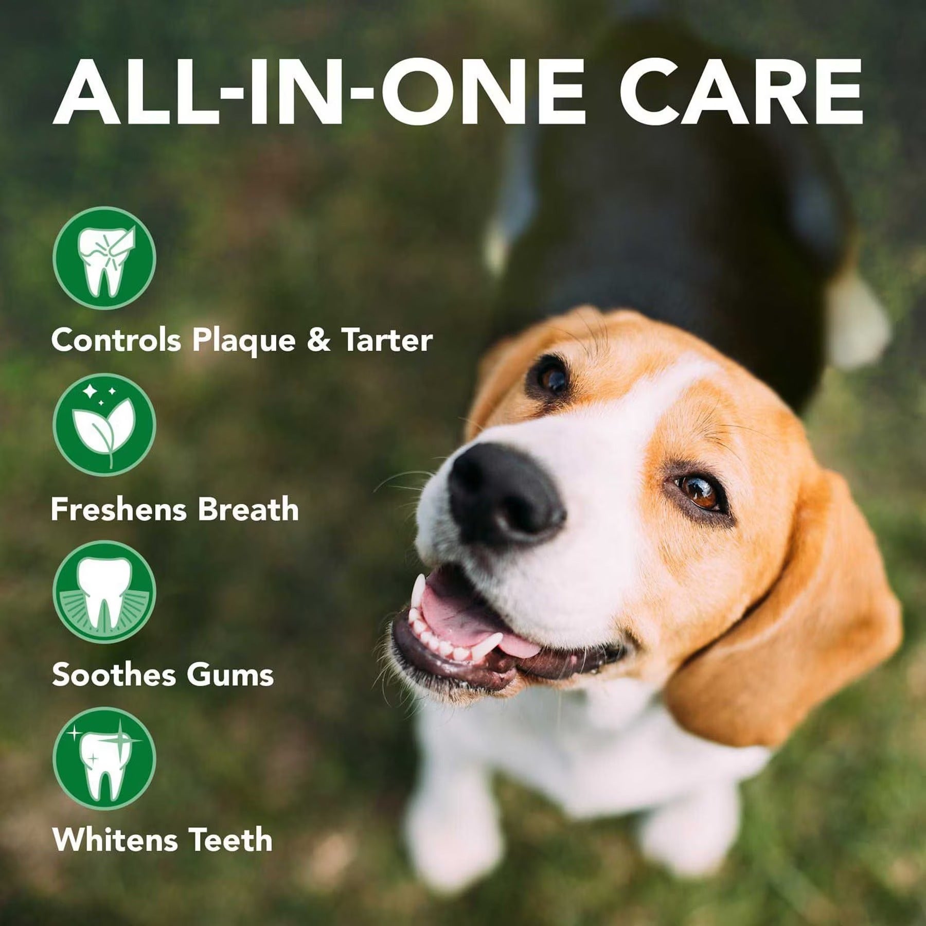 Vet's Best - Enzymatic Toothpaste For Dog