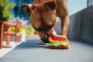 Pet Play International Classic Tail Waggin' Taco For Dog