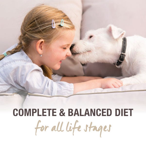 K9 Natural Freeze Dried Lamb Feast Dog Food - Maokids Pet