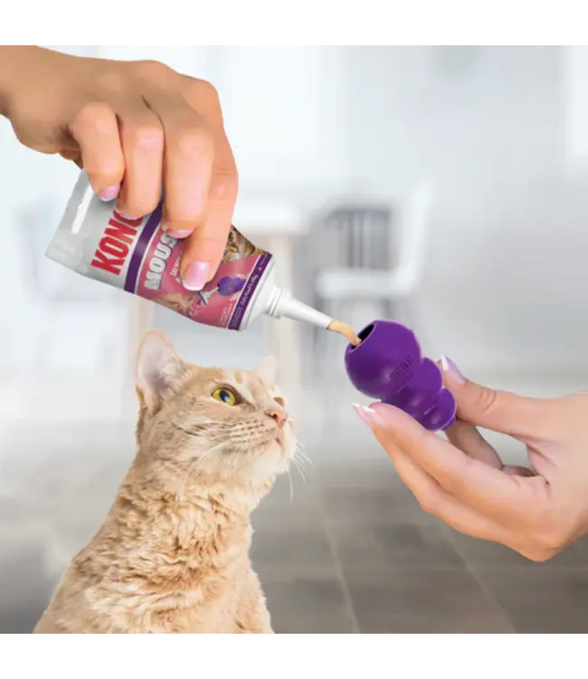Kitty KONG Stuff‘n Salmon Paste