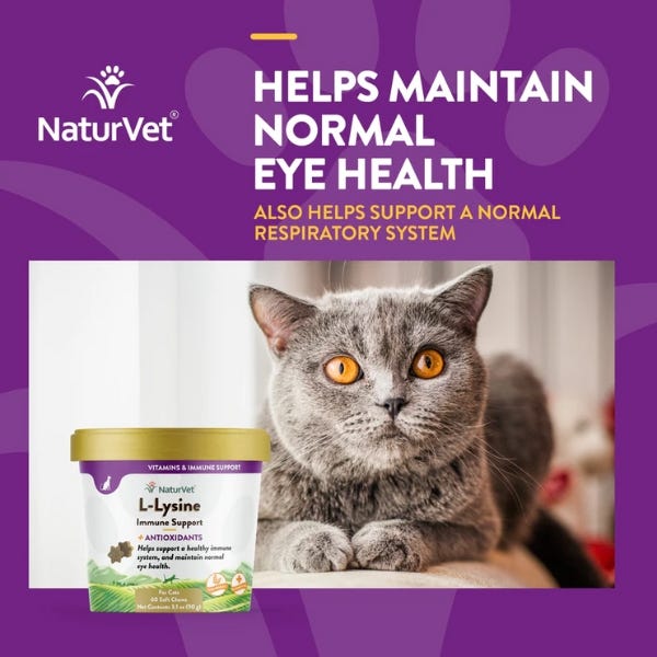 NaturVet L-Lysine Immune Support Cat Soft Chews - 3oz - Maokids Pet