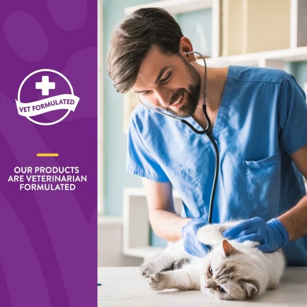 NaturVet L-Lysine Immune Support Cat Soft Chews - 3oz - Maokids Pet