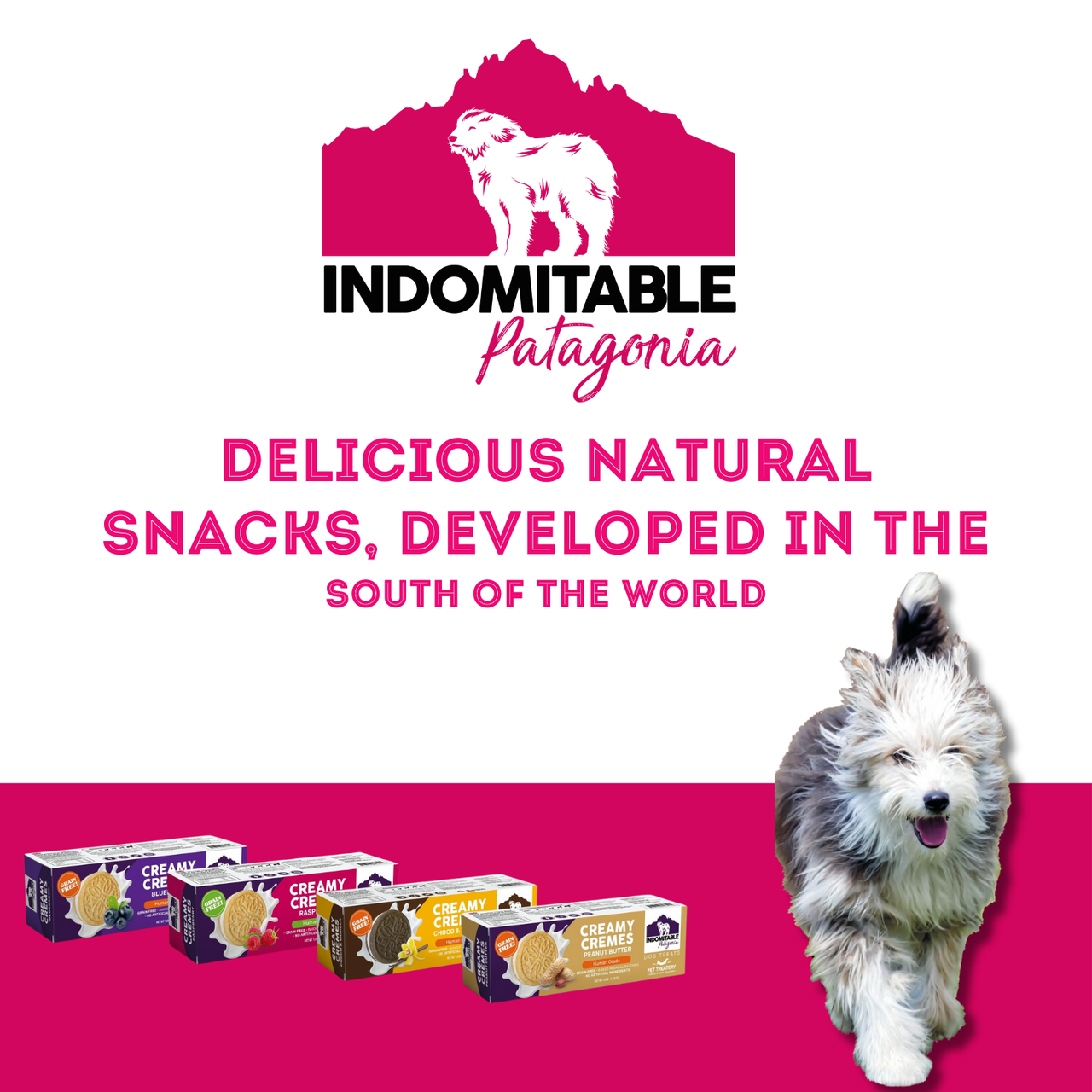 Granville Island Dog Biscuits Grain Free Creamy Cremes - Blueberry