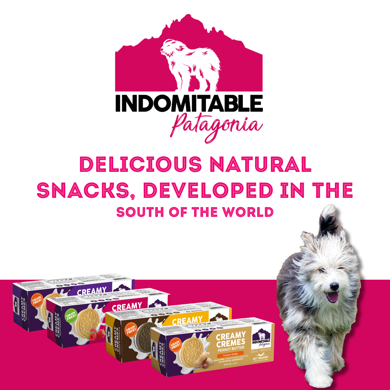 Granville Island Dog Biscuits Grain Free Creamy Cremes - Choco & Vanilla