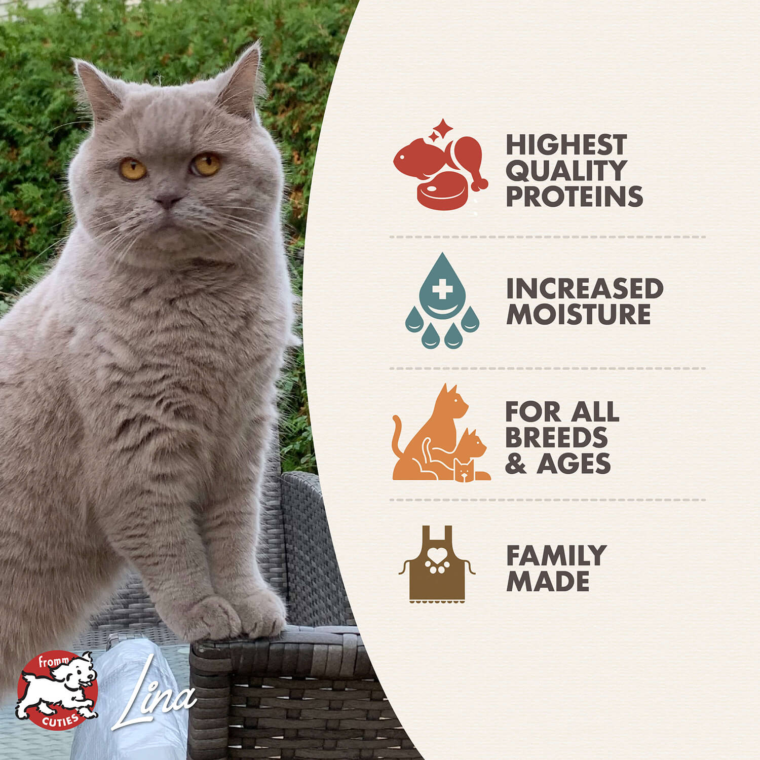 Fromm Four Star Wet Cat Food - Chicken & Salmon Pate 5.5oz - Maokids Pet