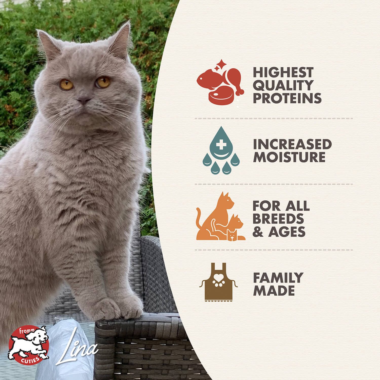 Fromm Shredded Wet Cat Food - Surf & Turf In Gravy Entree 5.5oz - Maokids Pet