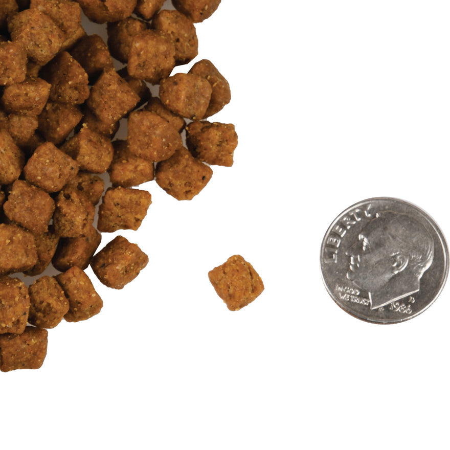 Fromm Cat Food - Beef Livattini Veg Recipe - Maokids Pet