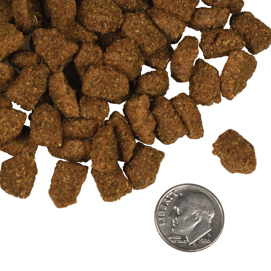Fromm Dog Food - Highlander Beef - Maokids Pet