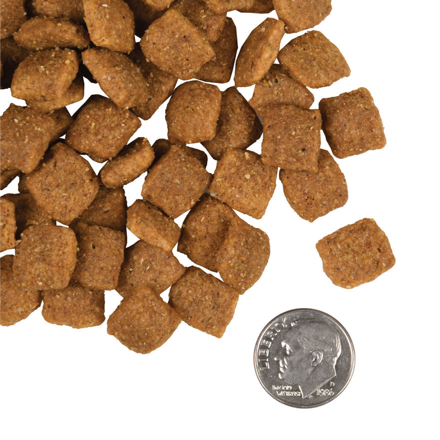 Fromm Gold Adult Dog Food - Chicken - Maokids Pet