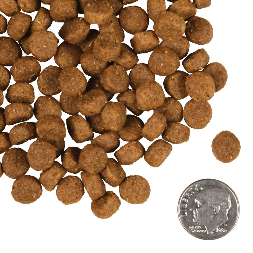 Fromm Gold Small Breed Adult Dog Food - Chicken - Maokids Pet