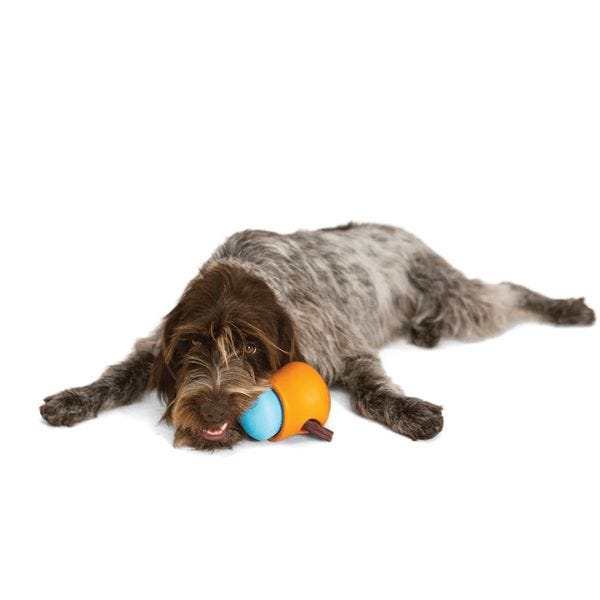 West Paw Design Toppl Treat Toy For Dog - Maokids Pet