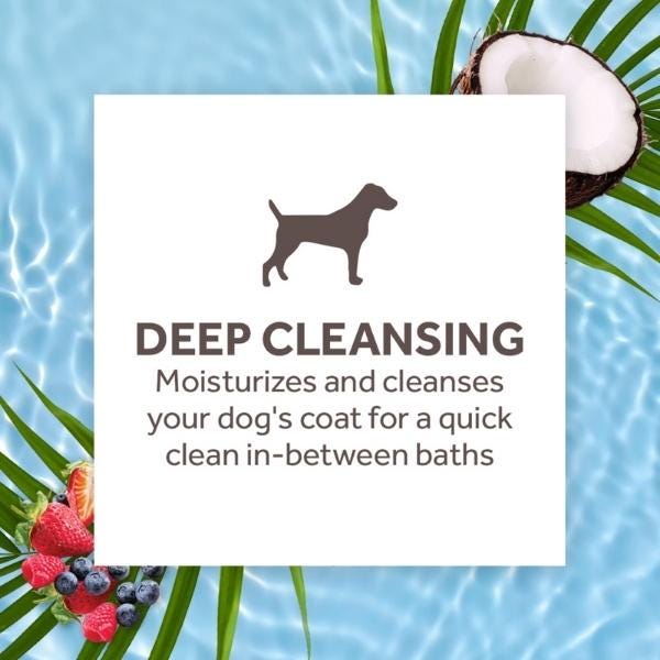 Tropiclean Berry & Coconut Deep Cleansing Foaming Waterless Shampoo - 7.4oz - Maokids Pet