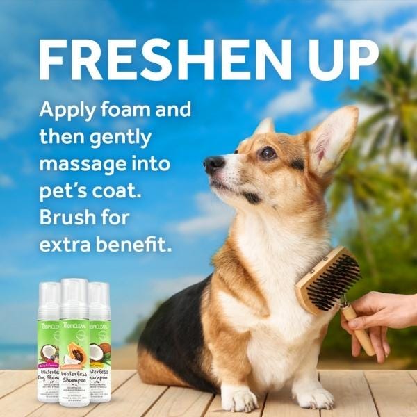 Tropiclean Berry & Coconut Deep Cleansing Foaming Waterless Shampoo - 7.4oz - Maokids Pet