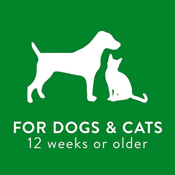 TropiClean Lime & Coconut Deodorizing Spray For Dog & Cat - 8oz - Maokids Pet