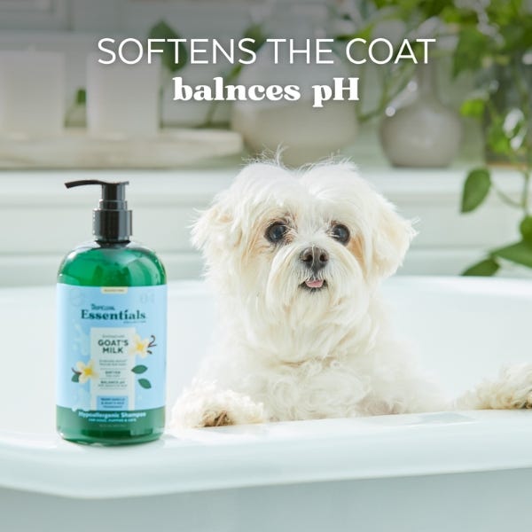 TropiClean Essentials Goat's Milk Hypoallergenic Shampoo For Dog & Cat - 16oz - Maokids Pet