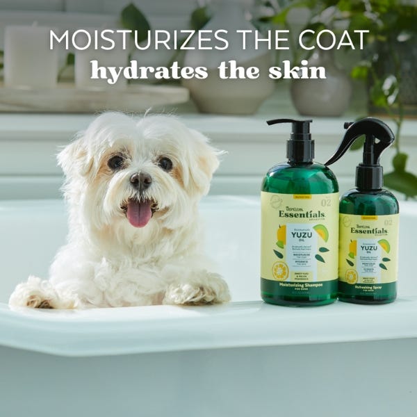 TropiClean Essentials Yuzu Oil Moisturizing Shampoo For Dog - 16oz - Maokids Pet