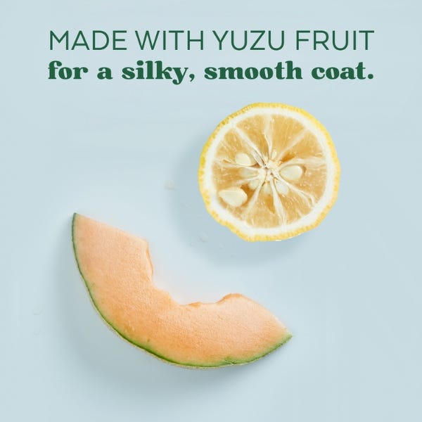 TropiClean Essentials Yuzu Oil Moisturizing Shampoo For Dog - 16oz - Maokids Pet