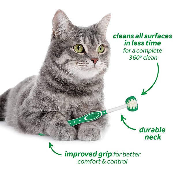 Tropiclean Fresh Breath Oral Care Kit for Cats - Maokids Pet