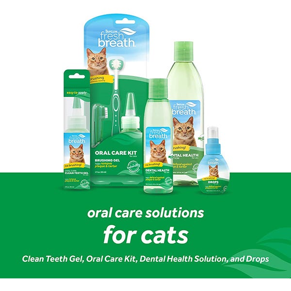 Tropiclean Fresh Breath Oral Care Kit for Cats - Maokids Pet