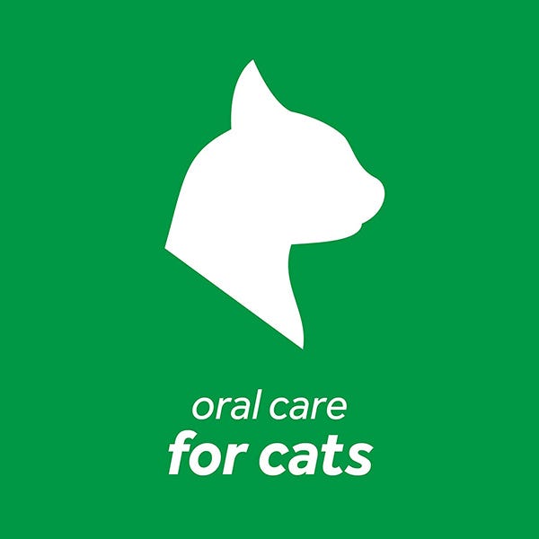 Tropiclean Fresh Breath Oral Care Kit for Cats - Maokids Pet
