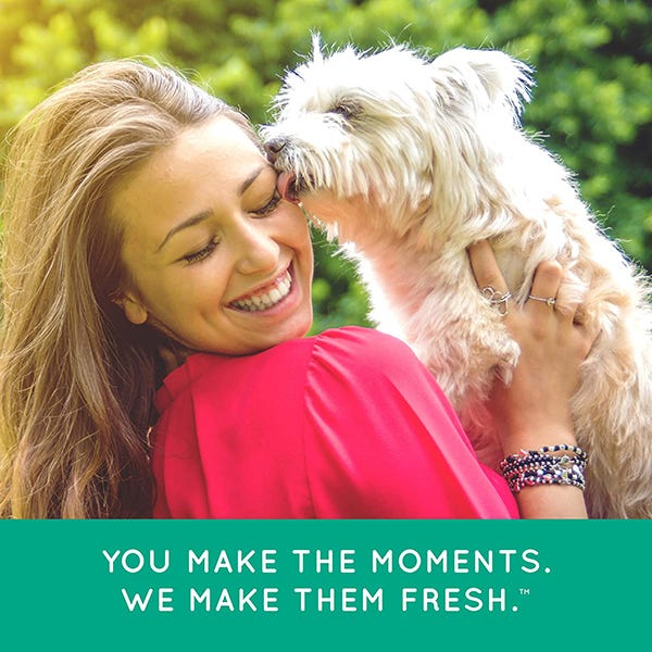 TropiClean Fresh Breath Clean Teeth Gel For Dog - 2oz - Maokids Pet