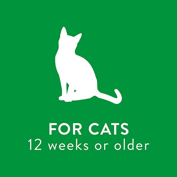 Tropiclean Dander Reducing Waterless Shampoo for Cats - 7.4oz - Maokids Pet