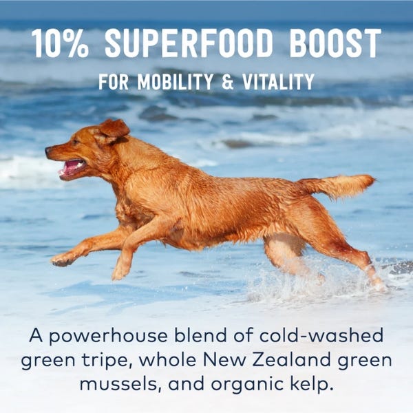 ZIWI Original Series Wet Dog Food - Beef Recipe - Maokids Pet