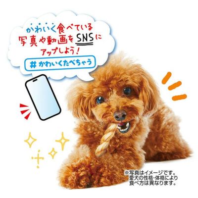 Petio Dental Fiber Sticks For Dog - Chicken