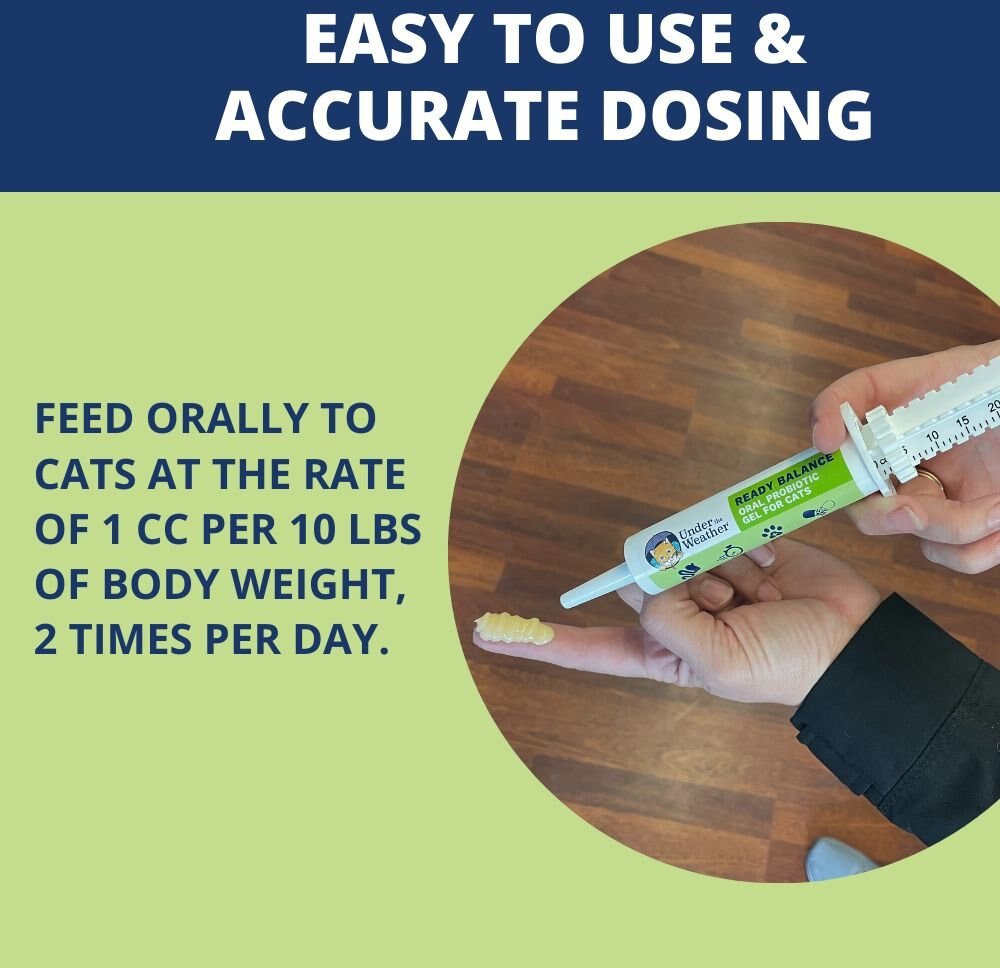 Under the Weather Ready Balance Probiotic For Cat - 30cc Syringe