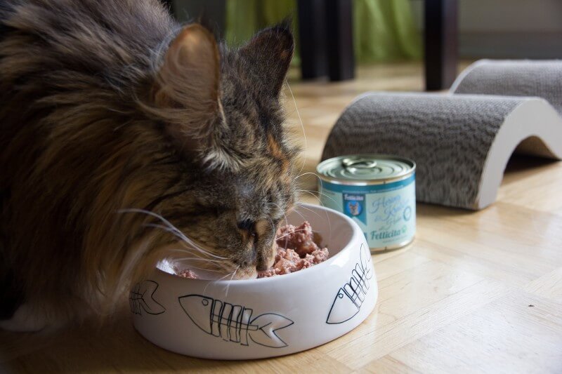Fellicita Herring, Crabs & Chicken Cat Wet Food