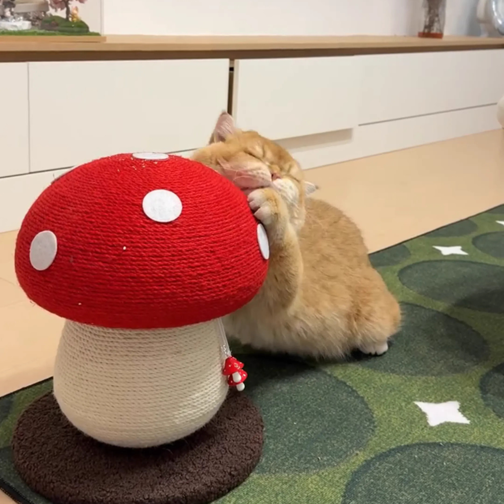 Miaofairy Red Mushroom Sisal Cat Scratcher